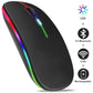 Souris Bluetooth Sans Fil RVB – Souris de Jeu Ergonomique LED pour PC et Portable